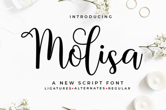 Molisa: The Authentic Vibe of a Playful Script