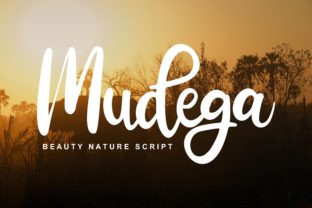 Mudega: Integrating a Classy and Playful Script into Your Workflow