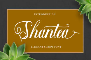 Shantea: The Friendly Handwritten Font and How to Use It Right