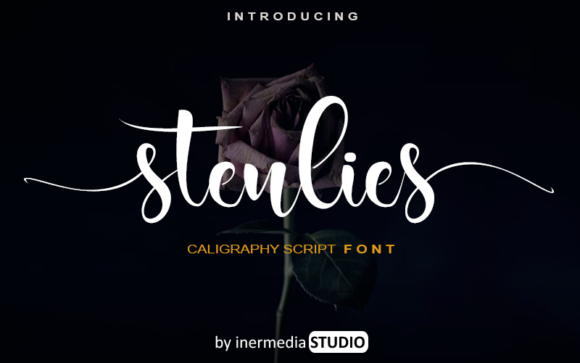 Stenlies: The Friendly Script Font for Crafting Beautiful Projects